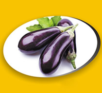 aubergines