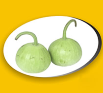dhudhi