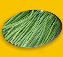 drumstick