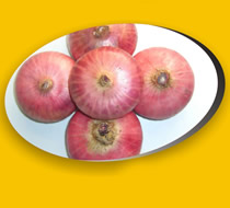 onion